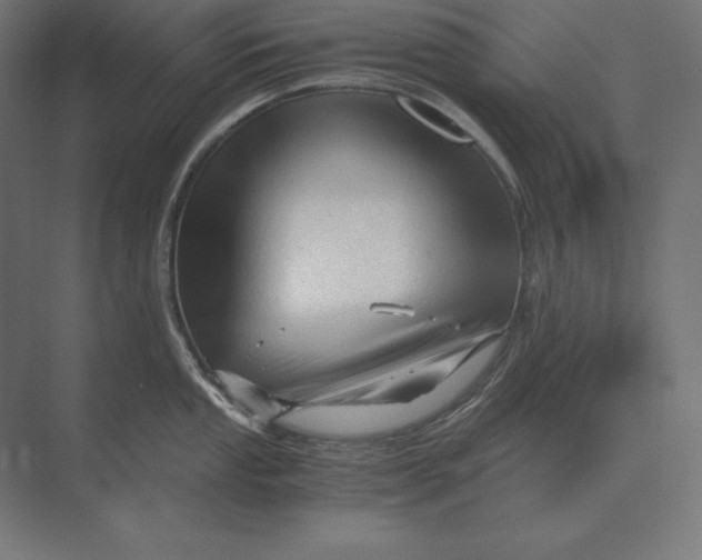 X0000073981053200609111803