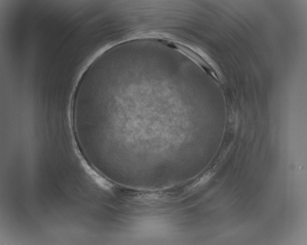 X0000073981054200609111803