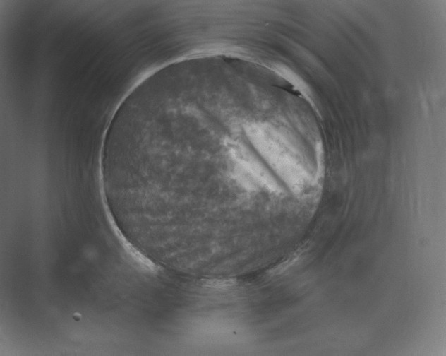 X0000073981055200609111803