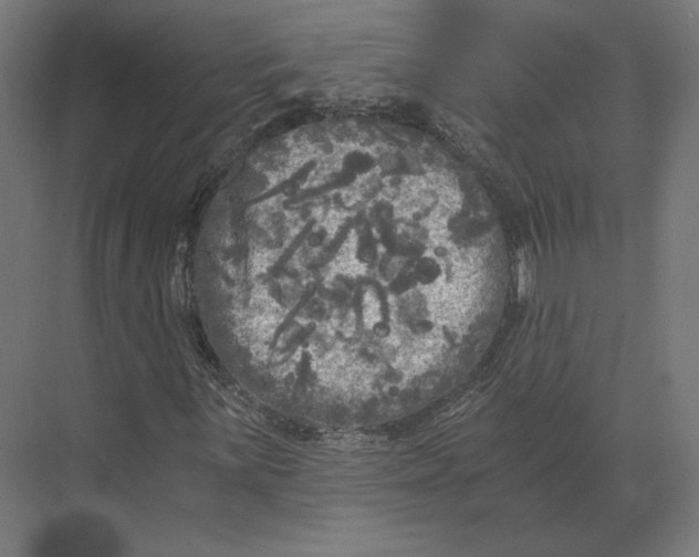 X0000073981059200609111802