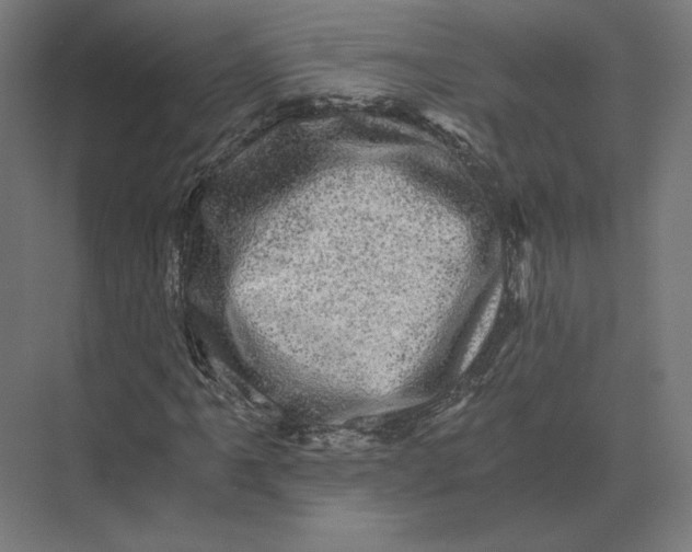 X0000073981061200609111802