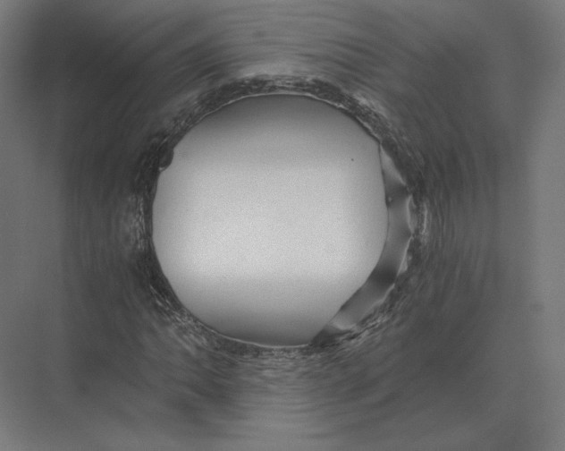 X0000073981062200609111802