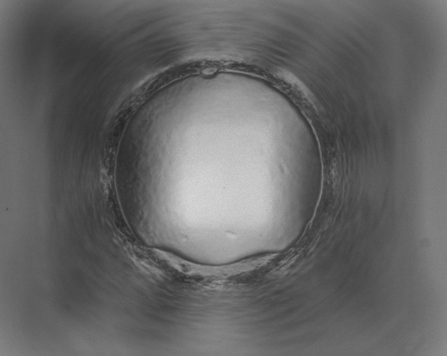 X0000073981064200609111802