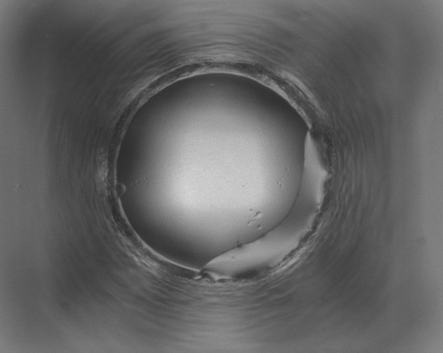 X0000073981065200609111802