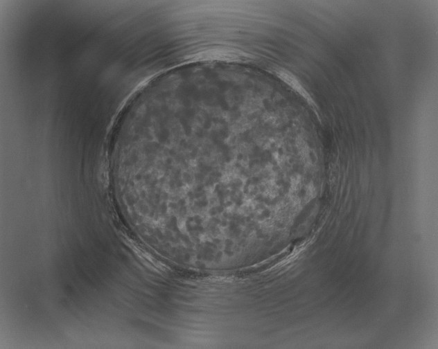 X0000073981067200609111802