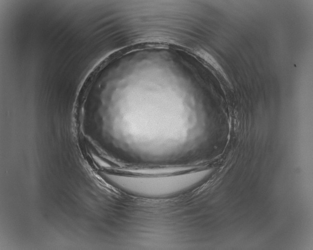 X0000073981068200609111802