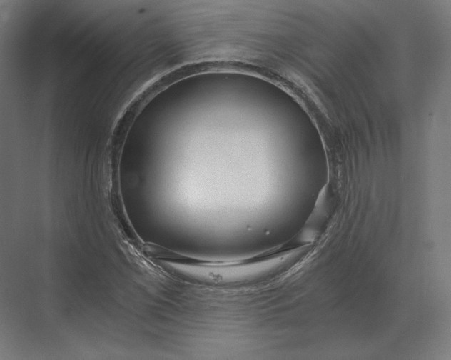 X0000073981069200609111802