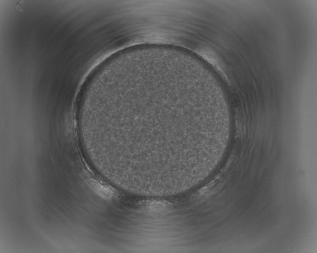 X0000073981070200609111802