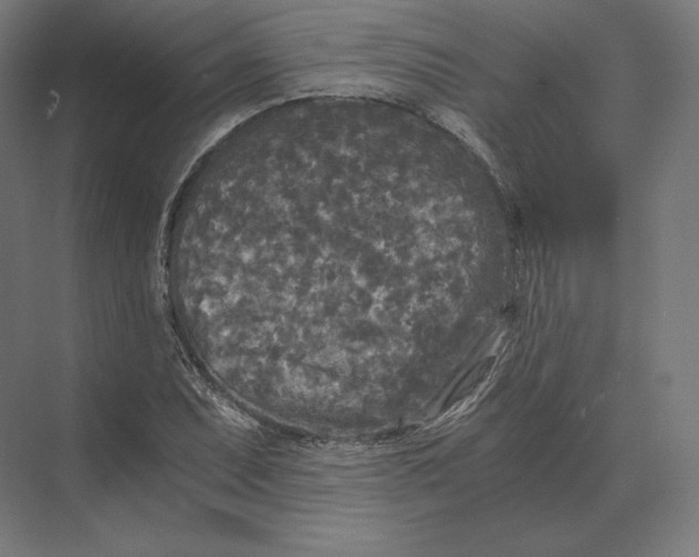 X0000073981071200609111802