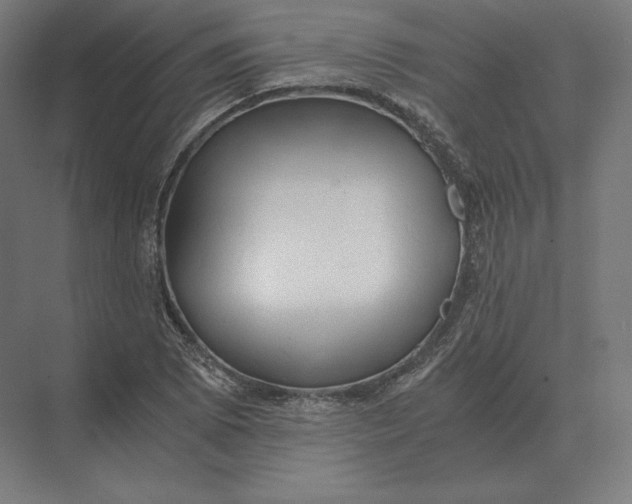 X0000073981073200609111802