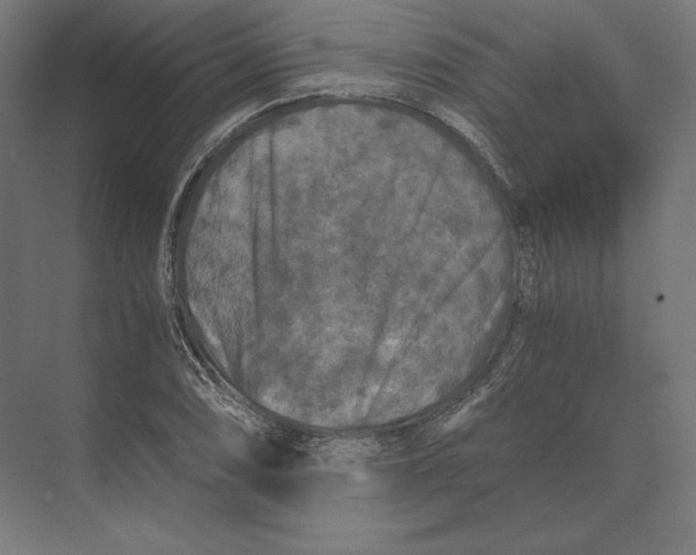 X0000073981074200609111802