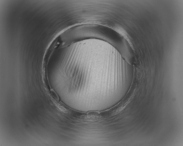 X0000073981077200609111802