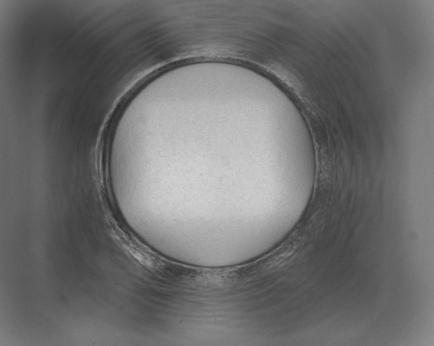 X0000073981078200609111802