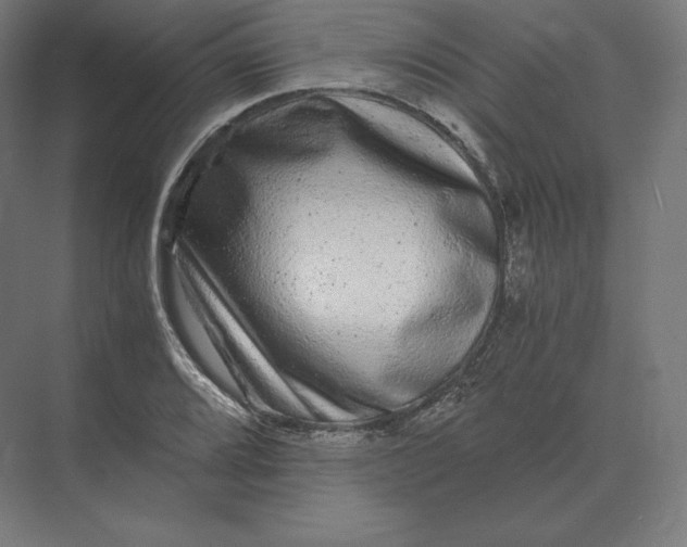 X0000073981080200609111802