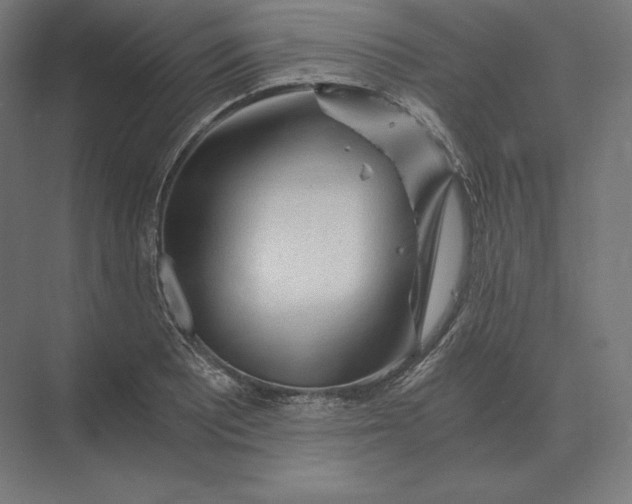 X0000073981081200609111802