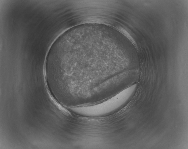 X0000073981084200609111801