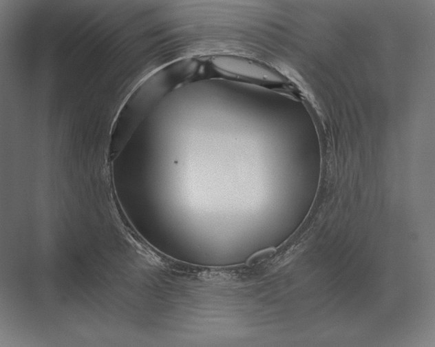 X0000073981089200609111801