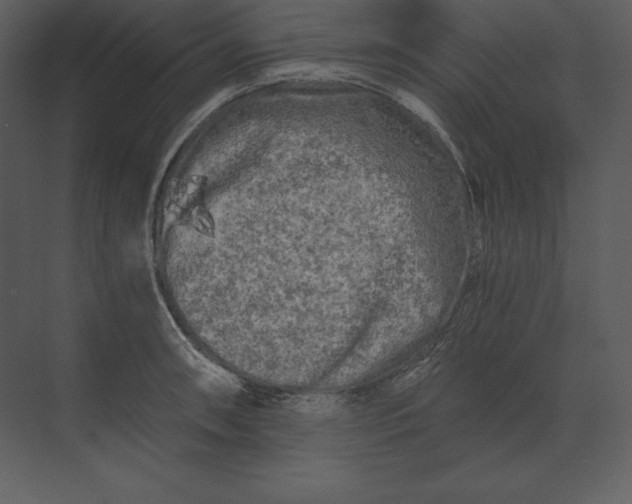 X0000073981090200609111801