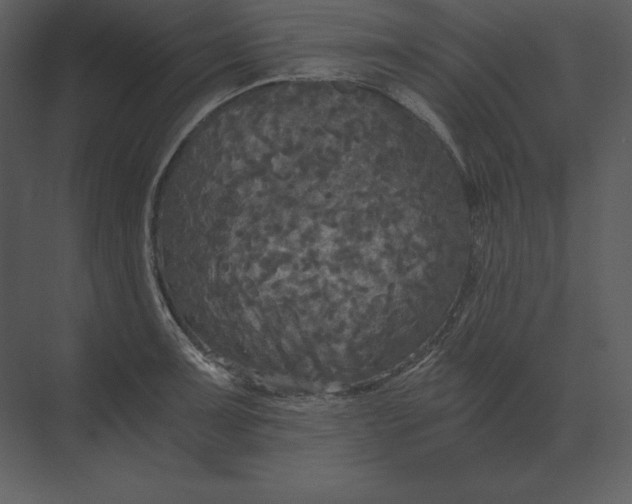 X0000073981091200609111801