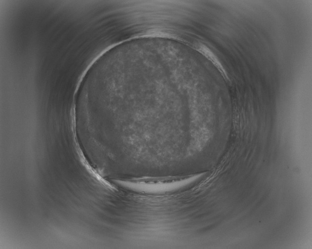 X0000073981092200609111801