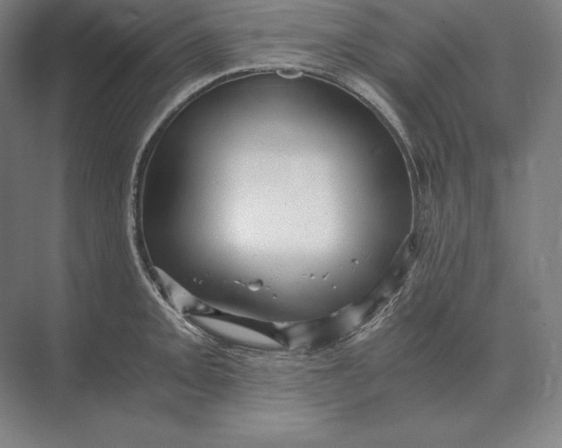 X0000073981093200609111801