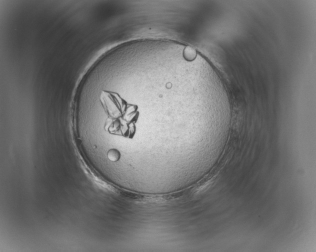 X0000073981094200609111801