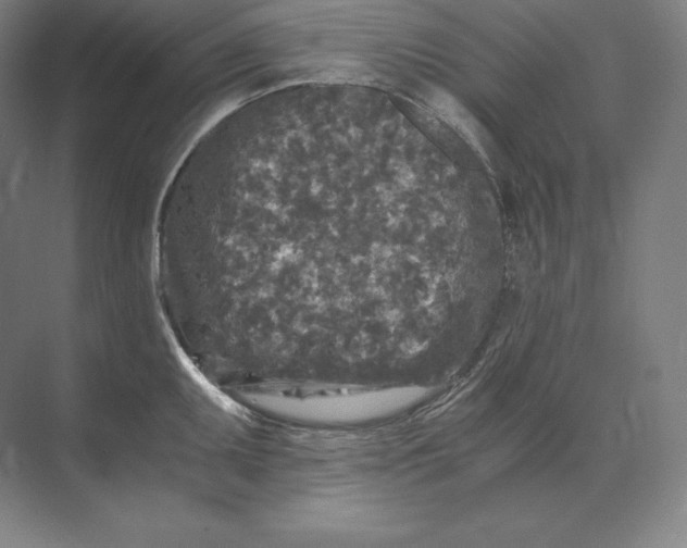 X0000073981095200609111801