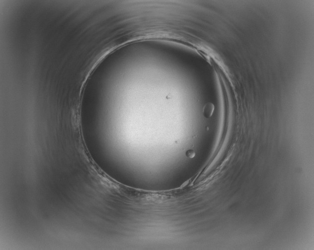 X0000073981097200609111801