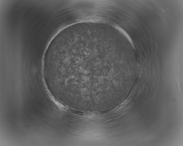 X0000073981099200609111801