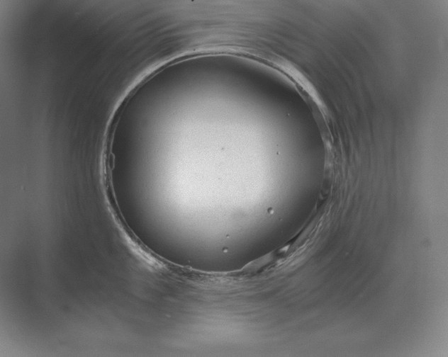 X0000073981101200609111801