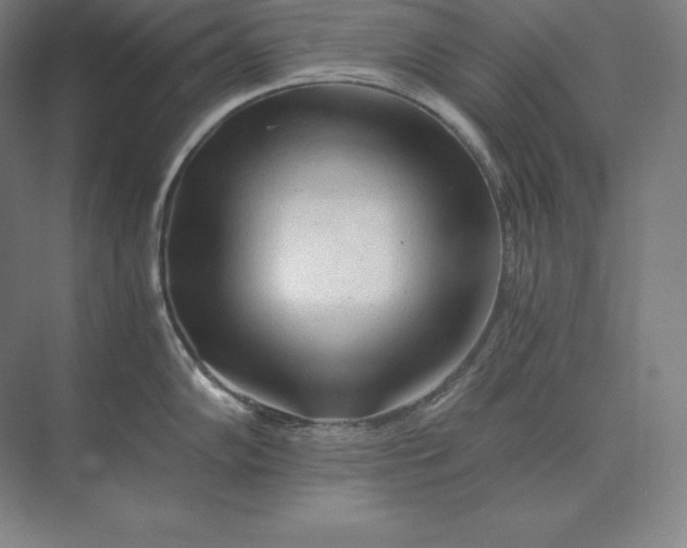 X0000073981102200609111801