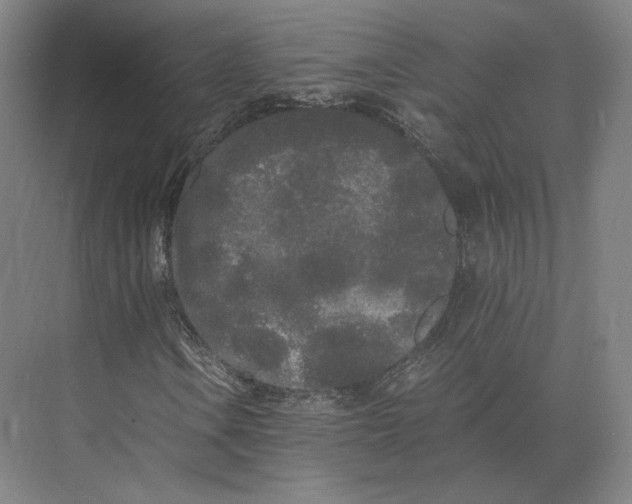 X0000073981106200609111800