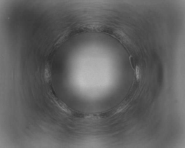 X0000073981107200609111800