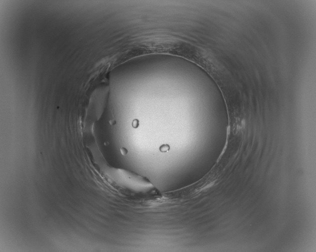 X0000073981108200609111800