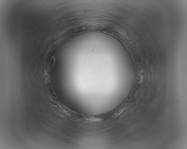 X0000073981109200609111800