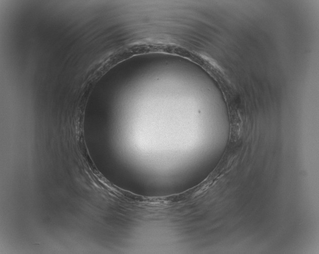 X0000073981110200609111800