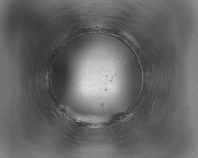 X0000073981111200609111800