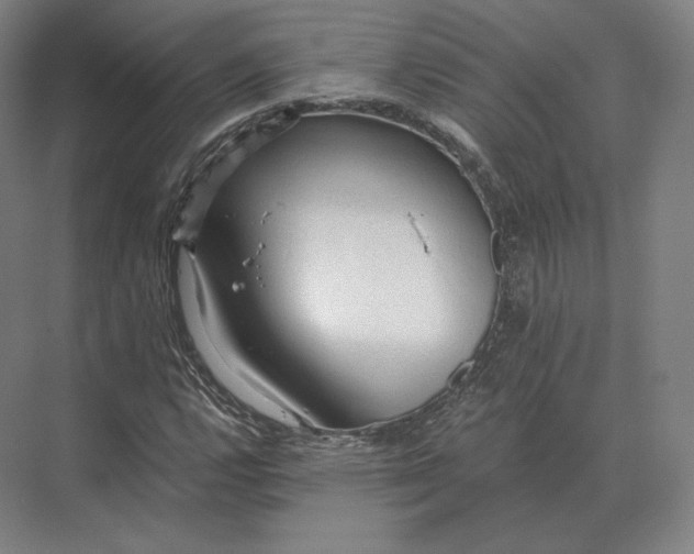 X0000073981112200609111800