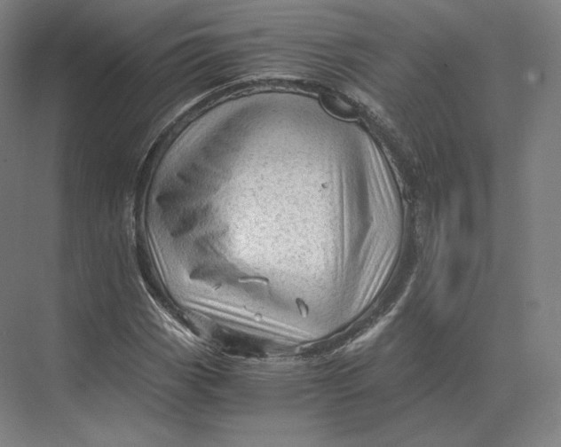 X0000073981113200609111800