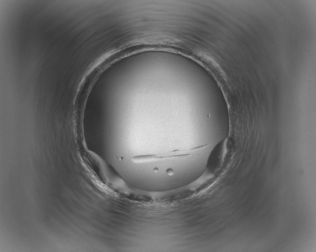 X0000073981114200609111800