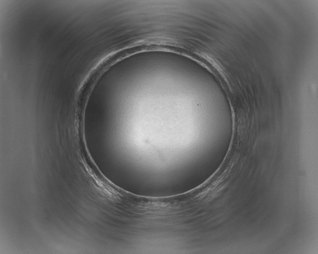 X0000073981115200609111800