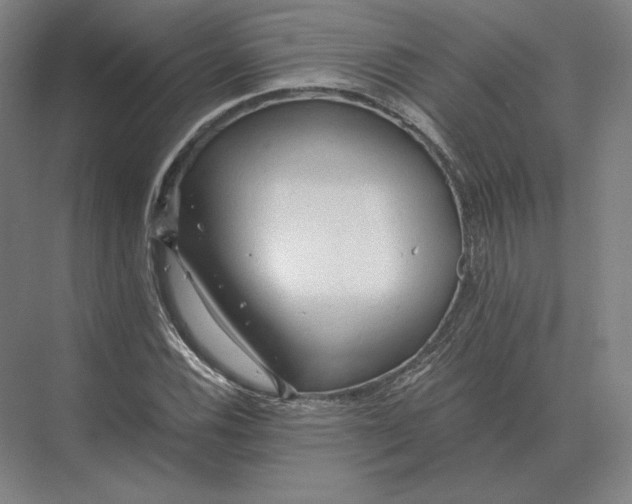 X0000073981116200609111801