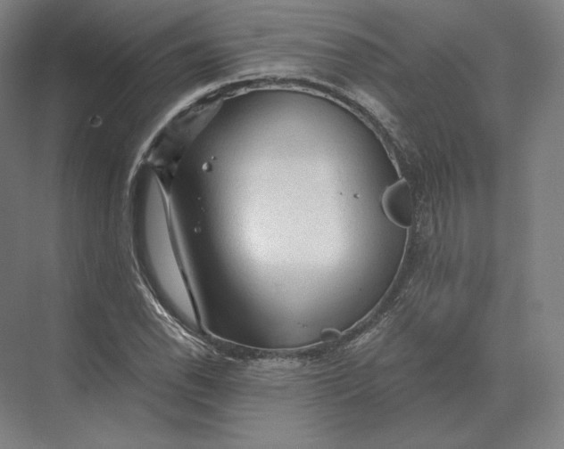 X0000073981118200609111801