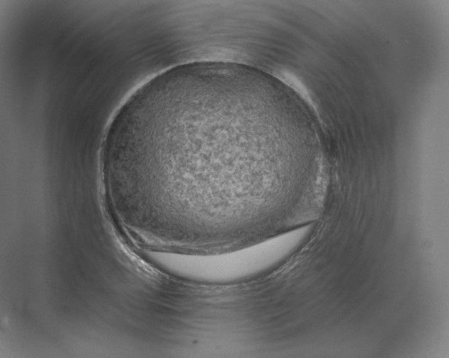 X0000073981120200609111801