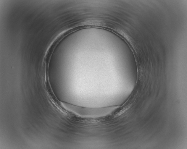 X0000073981123200609111801