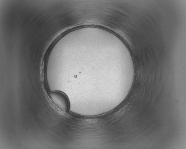 X0000073981126200609111801