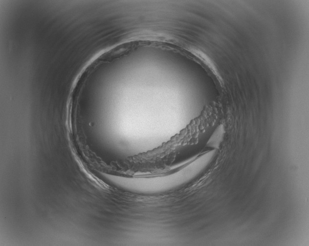 X0000073981128200609111801