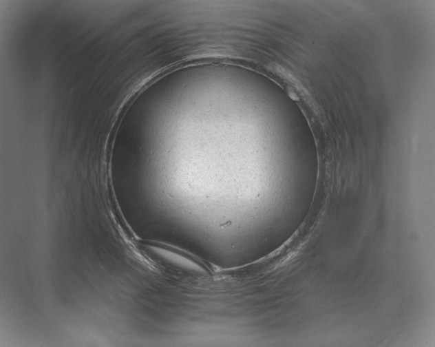 X0000073981129200609111801