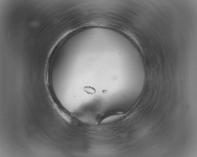 X0000073981131200609111801