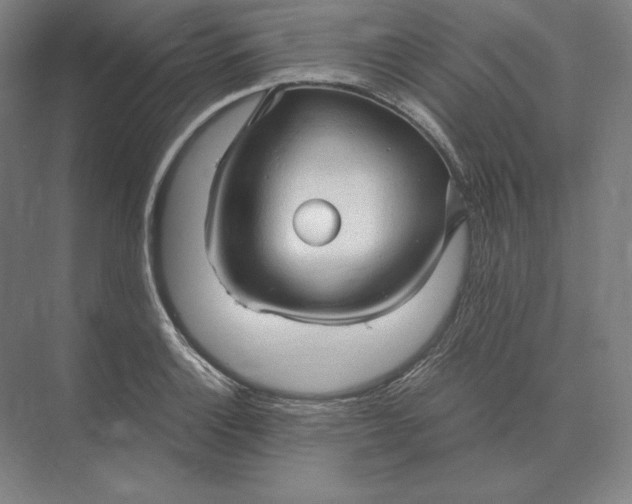 X0000073981132200609111801